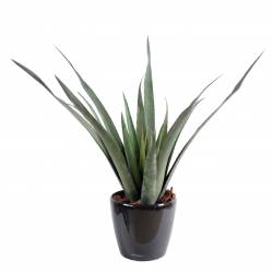 Aloe artificial ferox plastic