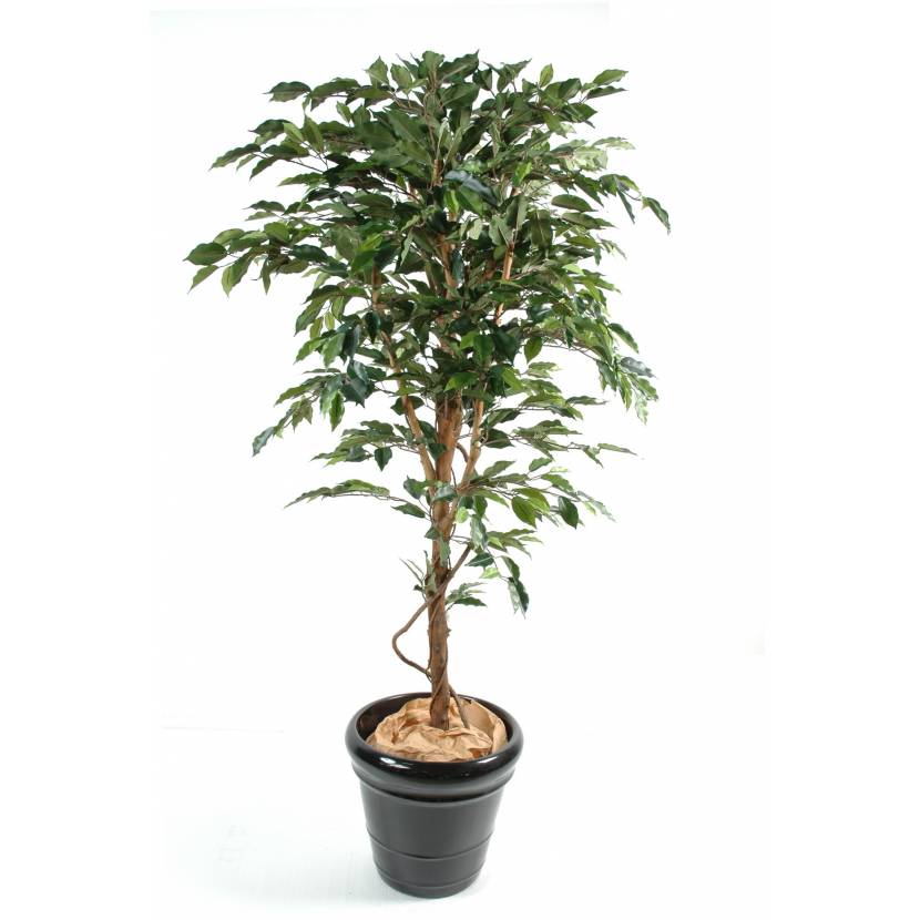 Ficus artificiel tronc simple