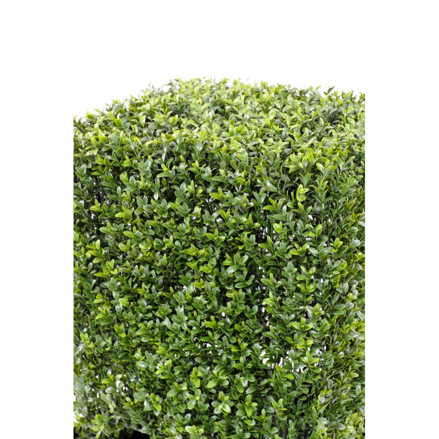 BOXWOOD SQUARE NEW