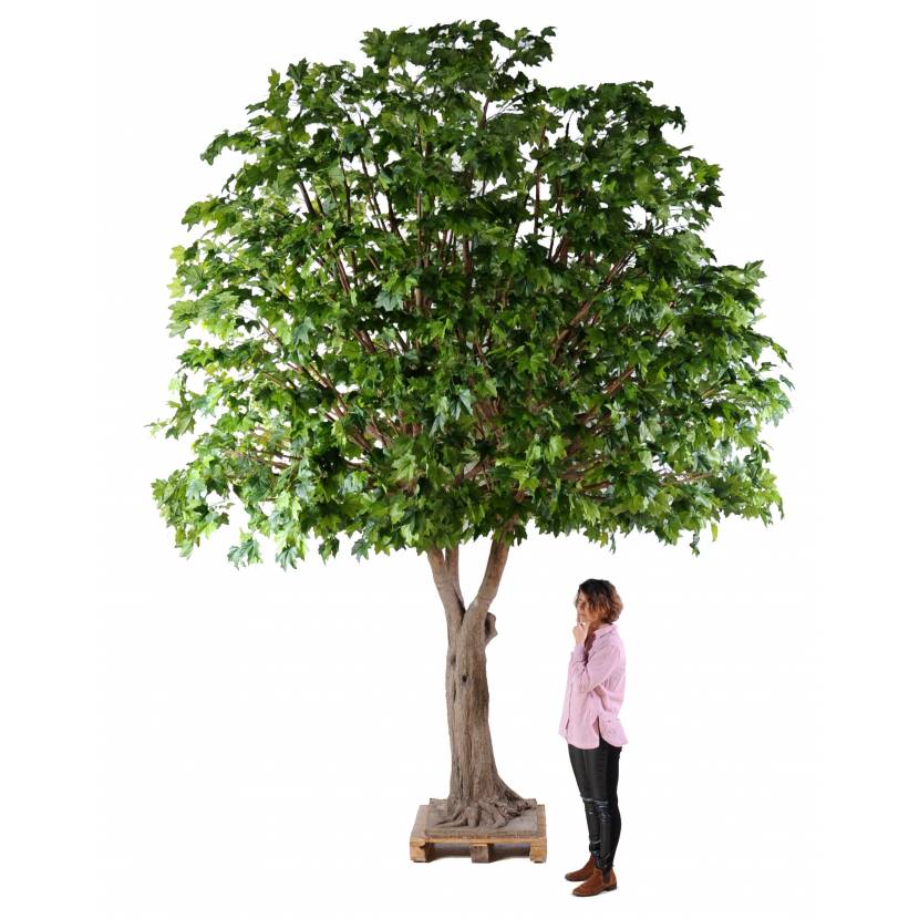 Sycamore artificial TREE
