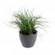 FINE POTTED Artificial GRASS