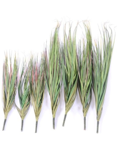 ZIERGRÄSER SET (8) OHNE...