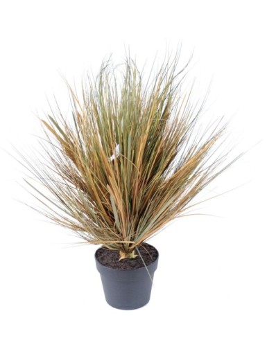 ZIERGRÄSER RUND 70 CM