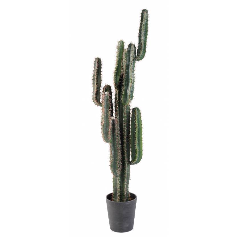 Cactus artificiel FINGER