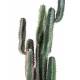Cactus artificiel FINGER