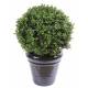 Artificial boxwood BALL NEW UV RESISTANT