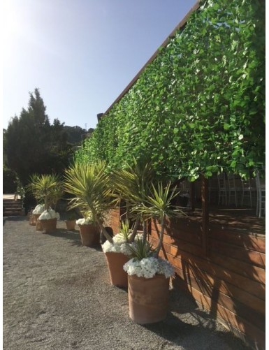 HORNBEAM TREE NET 200*300