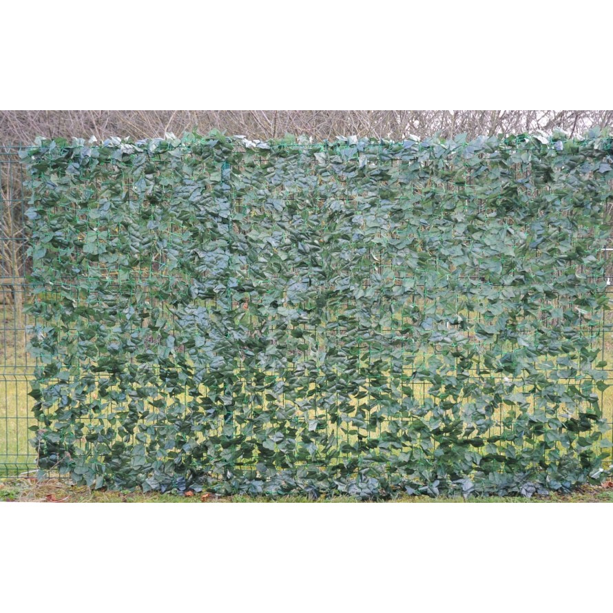 IVY NET 200*300