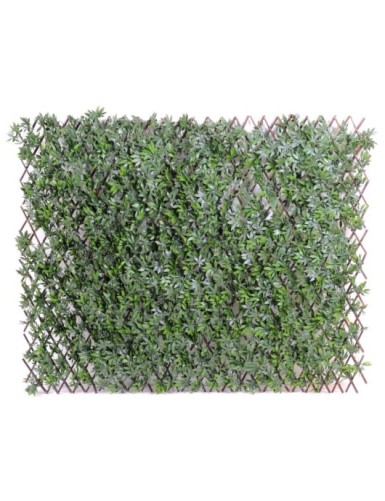 ARALIA EMPALIZADA 100*200