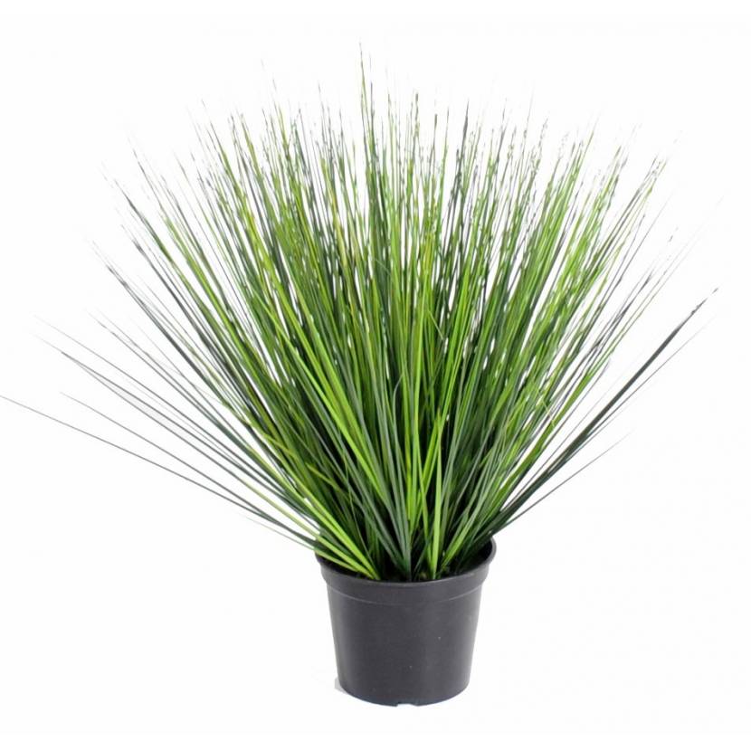 Onion Grass artificiel GRASS ROUND GF