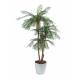 Palm tree artificial NEW 3 STEM IN POT ROUND