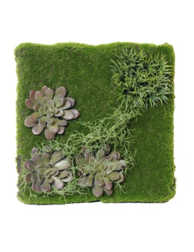 PFLANZENWAND 43 × 43