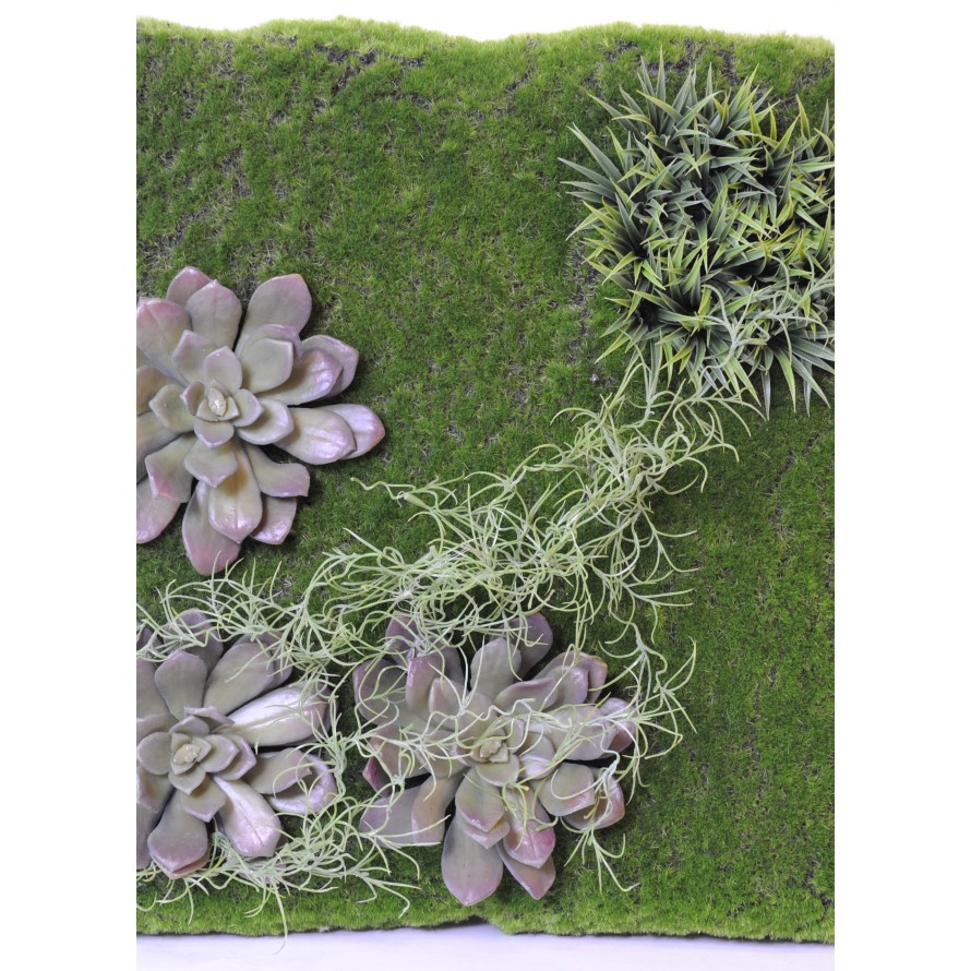 PFLANZENWAND 43 × 43