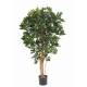 Schefflera artificial with potted