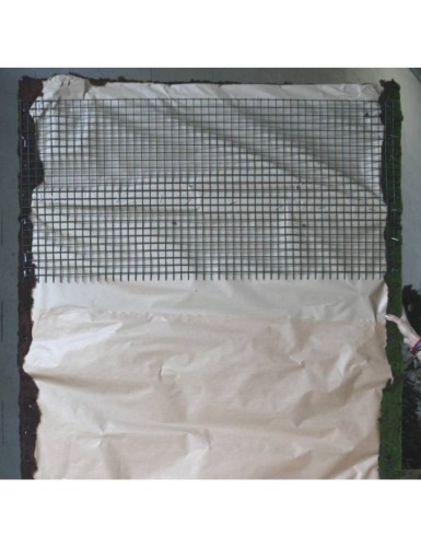 PFLANZENWAND 43 × 43