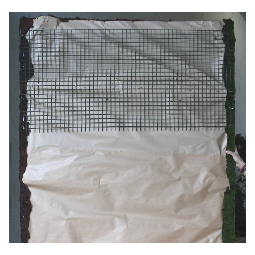 PFLANZENWAND 43 × 43