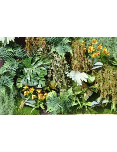 PFLANZENWAND 200 × 200