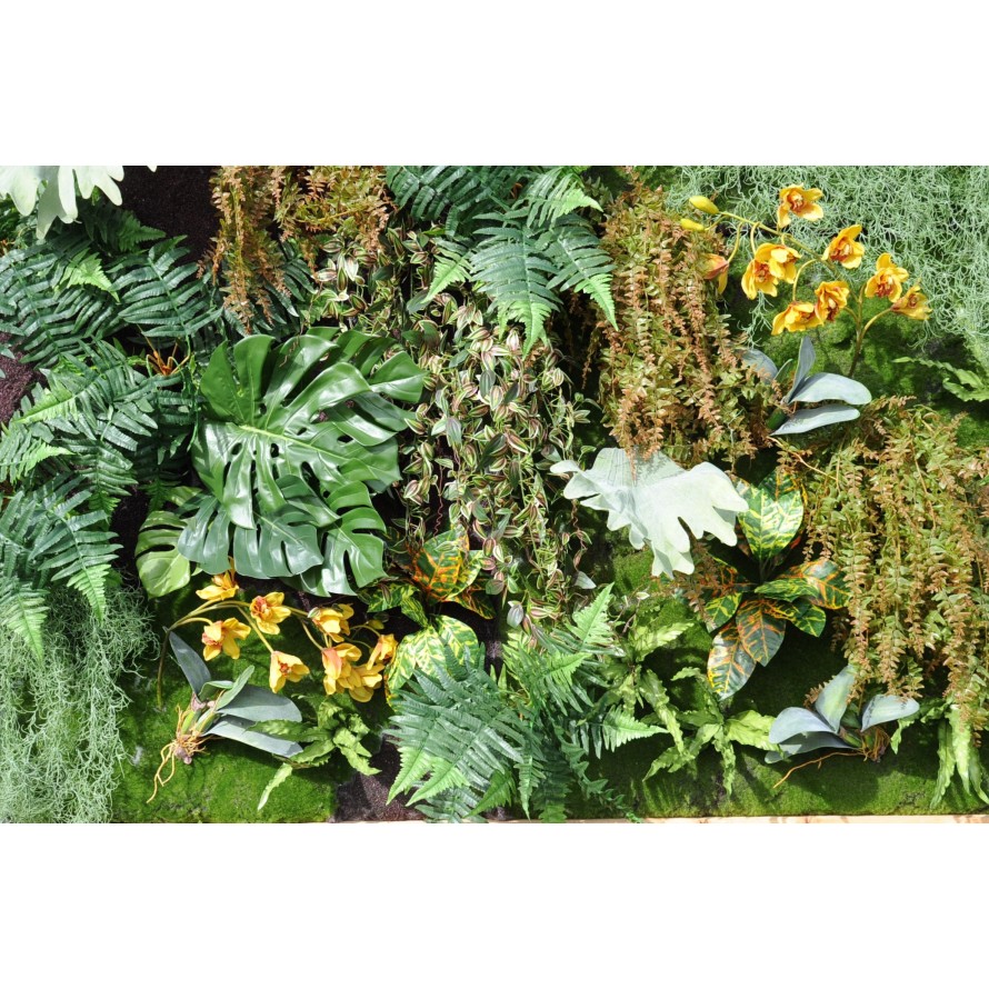 PFLANZENWAND 200 × 200