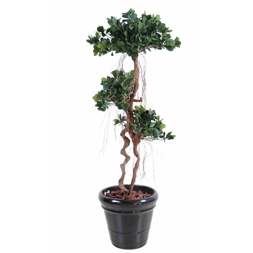Ficus artificiel PANDA NEW 170