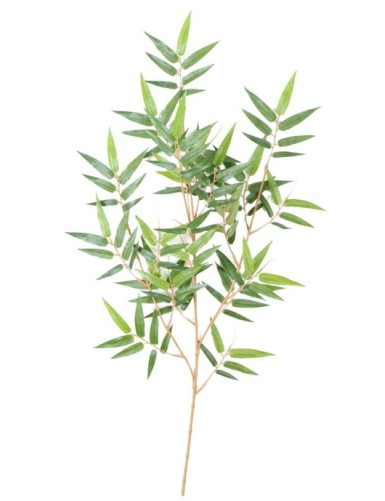 BAMBÚ ORIENTAL NEW *130