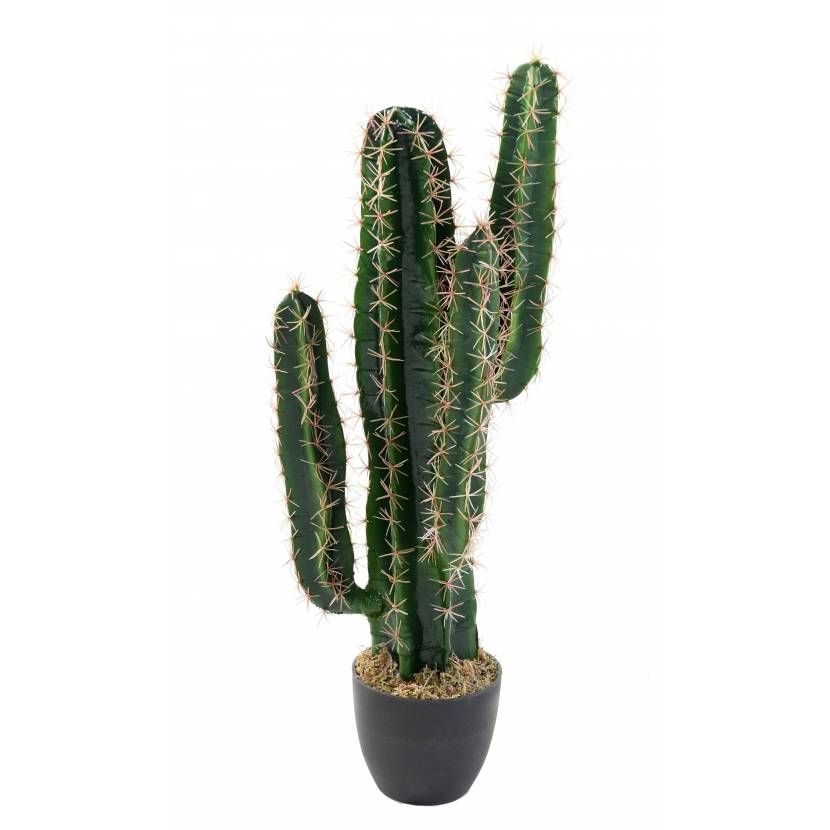 Cactus artificiel CEREUS