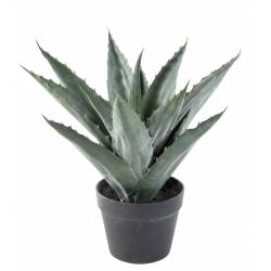 AGAVE artificial