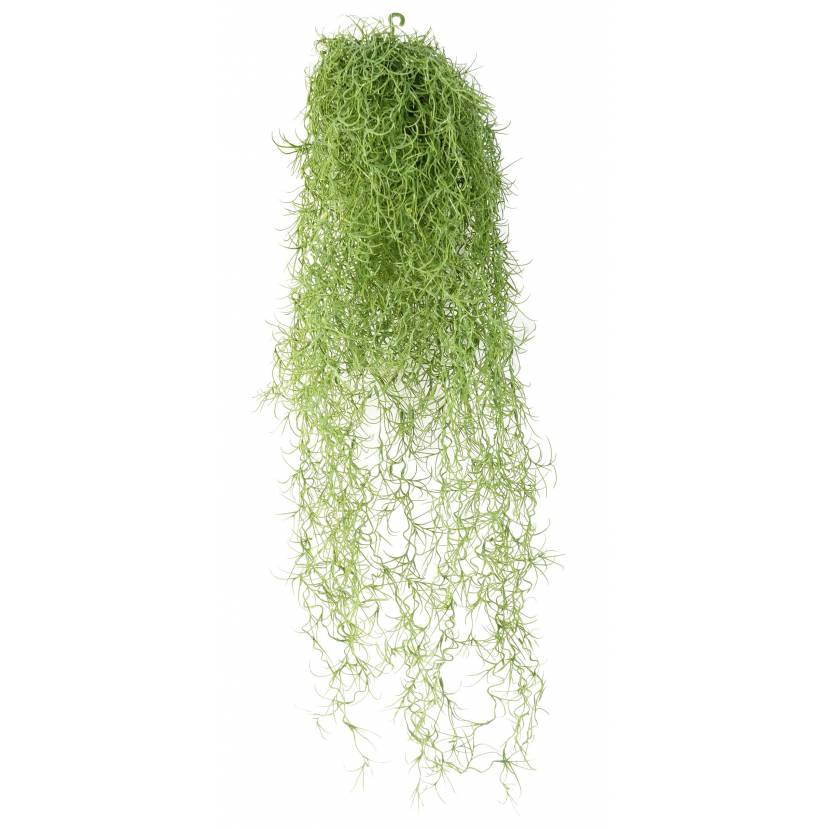 Tillandsia artificial (Spanish moss)