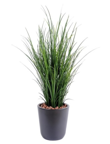 OLLA DE HIERBAS FINAS