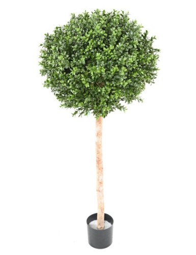 BOJ TALLO ESFERA NEW