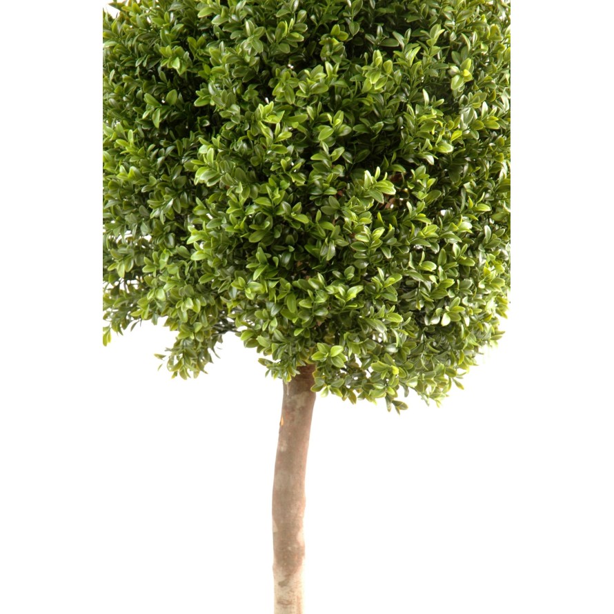 BOXWOOD STEM BALL NEW UV RESISTANT