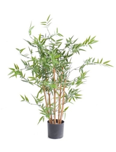 BAMBUS JAPANESE PLAST UV