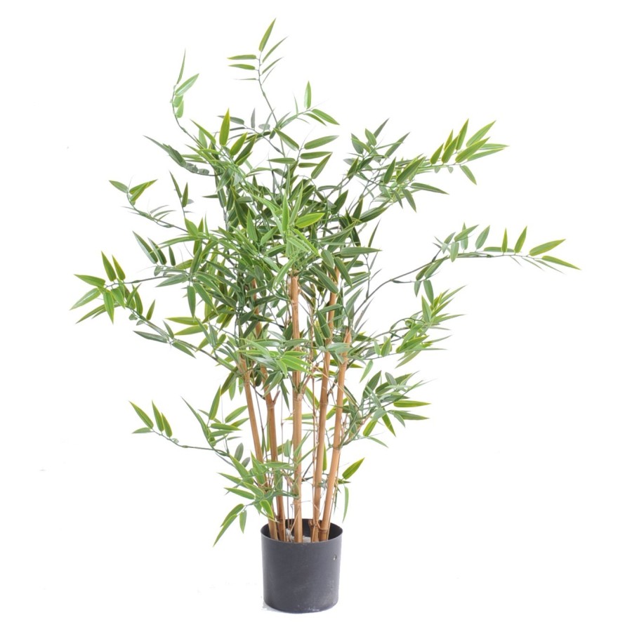 BAMBUS JAPANESE PLAST UV