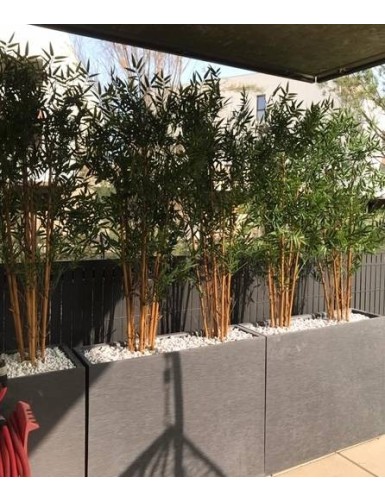 BAMBÚ JAPONÉS PLÁST. RESISTENTE A LOS RAYOS UV