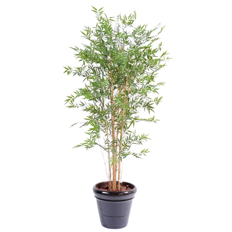 BAMBÚ JAPONÉS PLÁST. RESISTENTE A LOS RAYOS UV