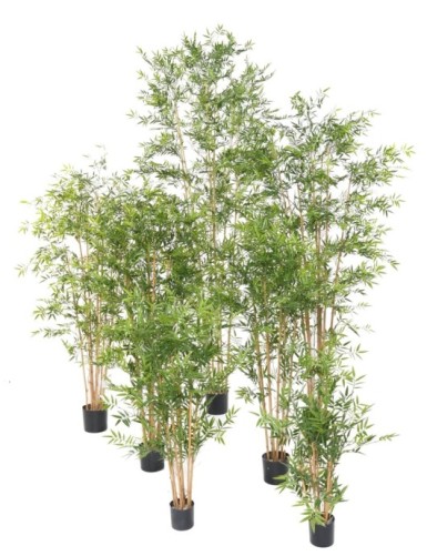 BAMBÚ JAPONÉS PLÁST. RESISTENTE A LOS RAYOS UV