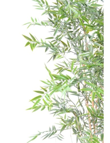 BAMBÚ JAPONÉS PLÁST. RESISTENTE A LOS RAYOS UV