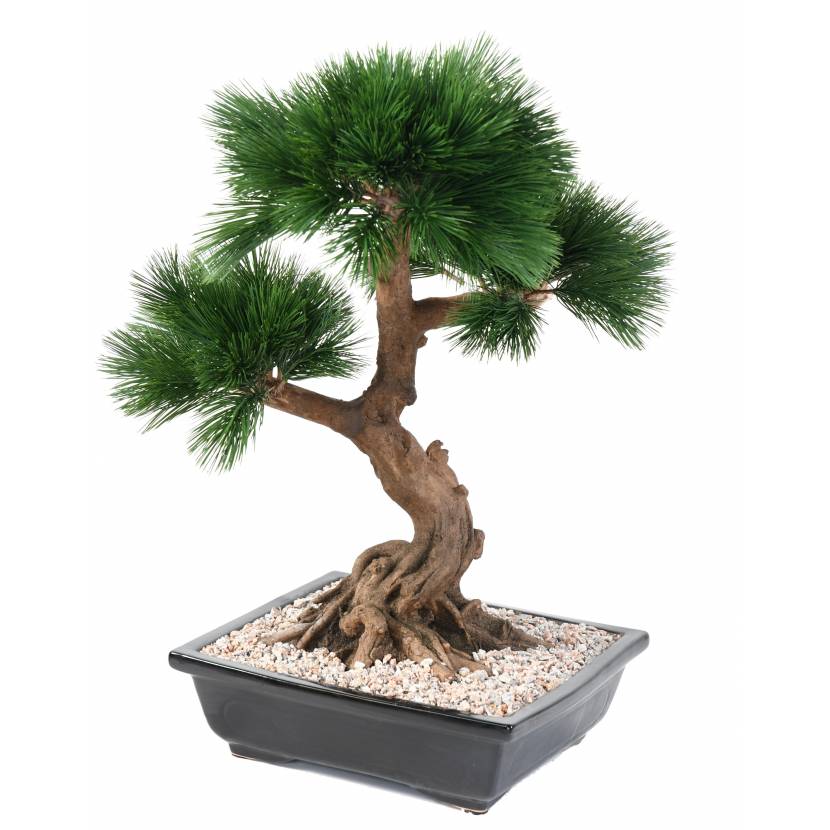 Bonsai, artificial PINE tree IN the CUP