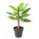 BANANA tree artificial POTTED GREEN BASIC TOP PLANT