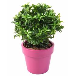LAUREL PLAST artificial BUSH POT GREEN BASIC TOP PLANT