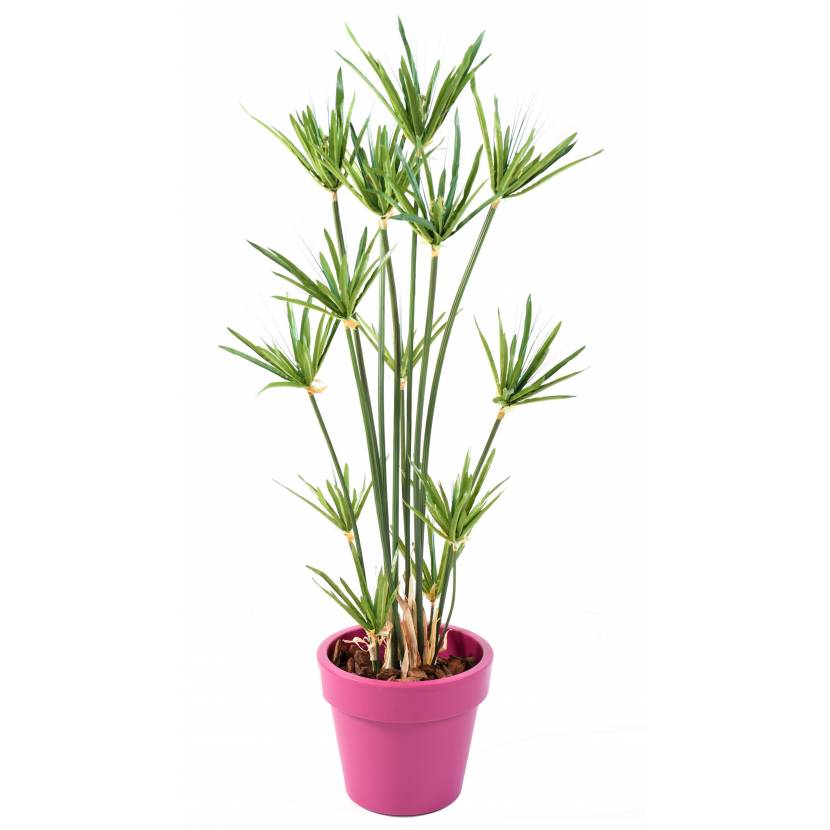 PAPYRUS artificial POTTED GREEN BASIC TOP PLANT