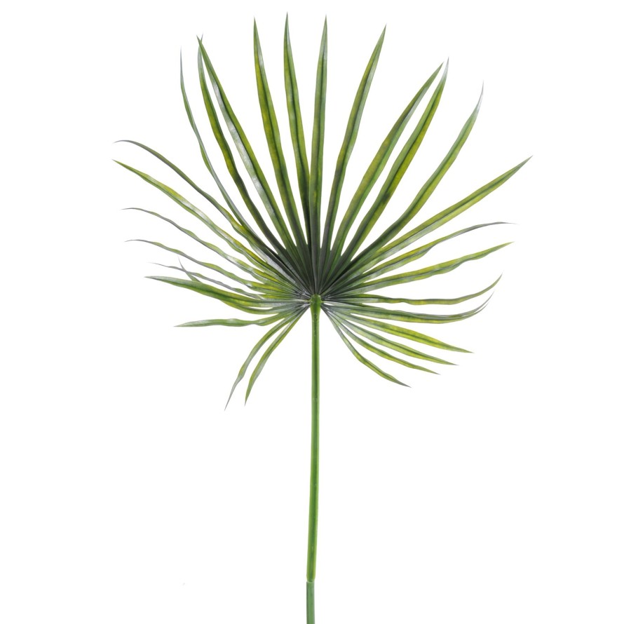 PALME ZWERGWÜCHSIG PLAST