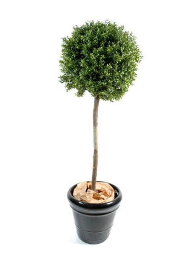 BOJ TALLO ESFERA NEW