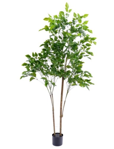 PALO DE ROSA PLÁST.