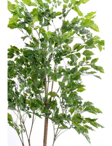 PALO DE ROSA PLÁST.