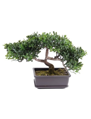 BONSAI TEE MINI 22 CM
