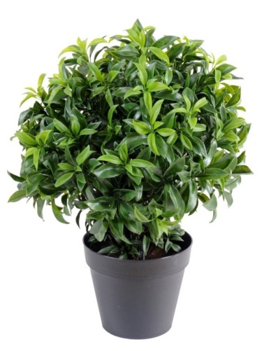 LORBEERBAUM PLAST BUSCH