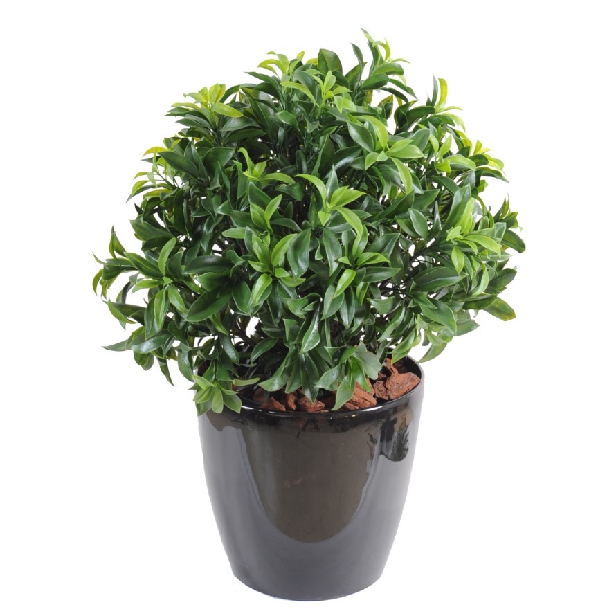 LORBEERBAUM PLAST BUSCH