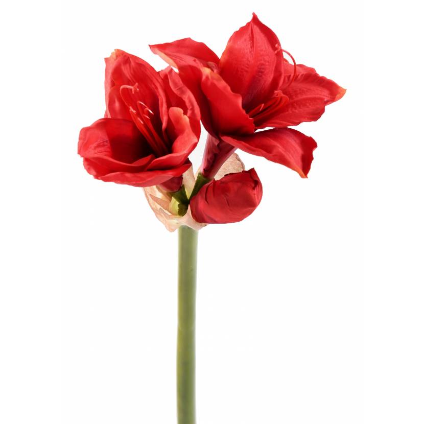 Amaryllis fleur artificielle rouge 75 cm | Fleurs artificielles | Vert  Espace