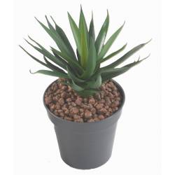 AGAVE ARTIFICIAL 29
