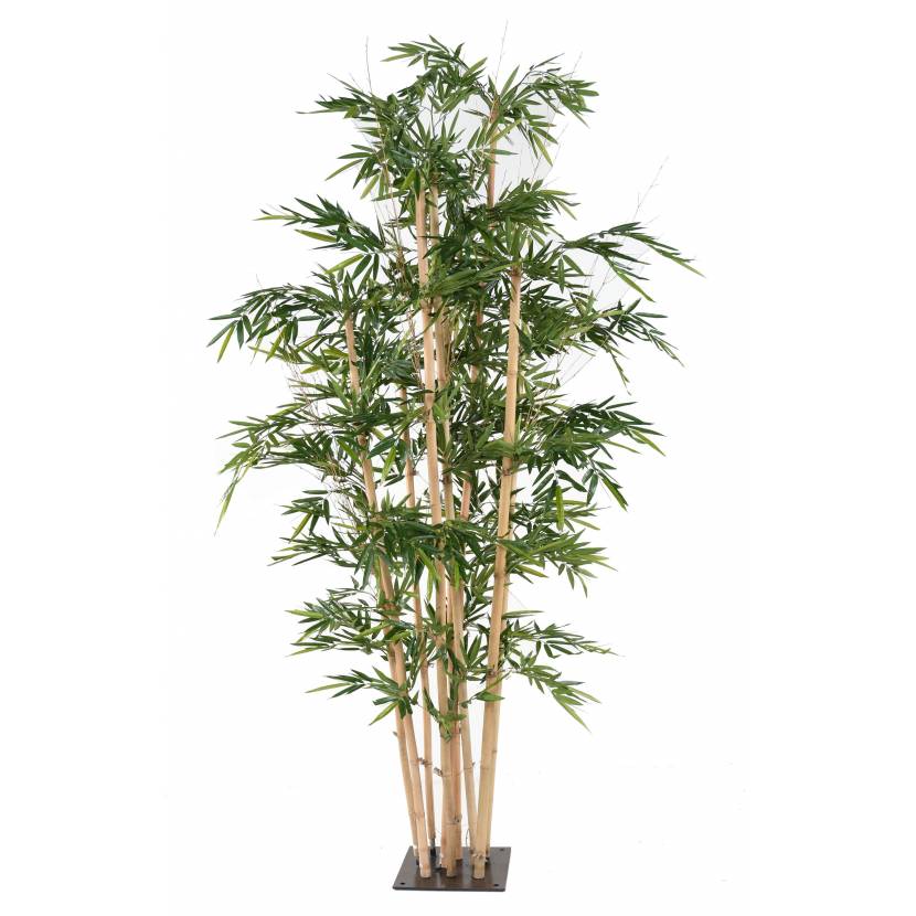 BAMBOO GEANT 320